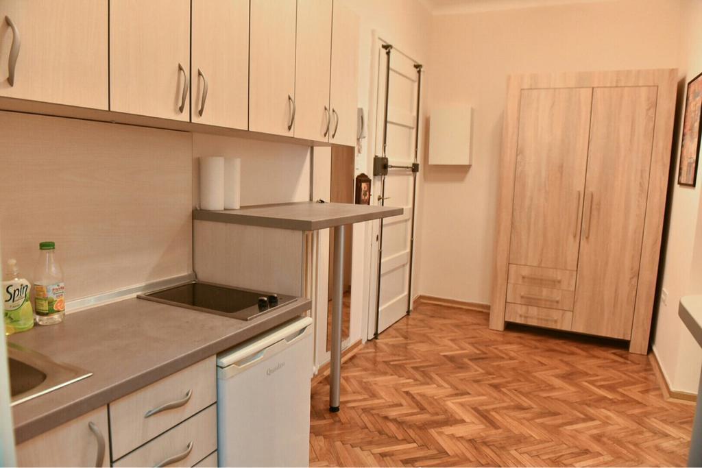 Bojan Central Apartment Нови Сад Екстериор снимка