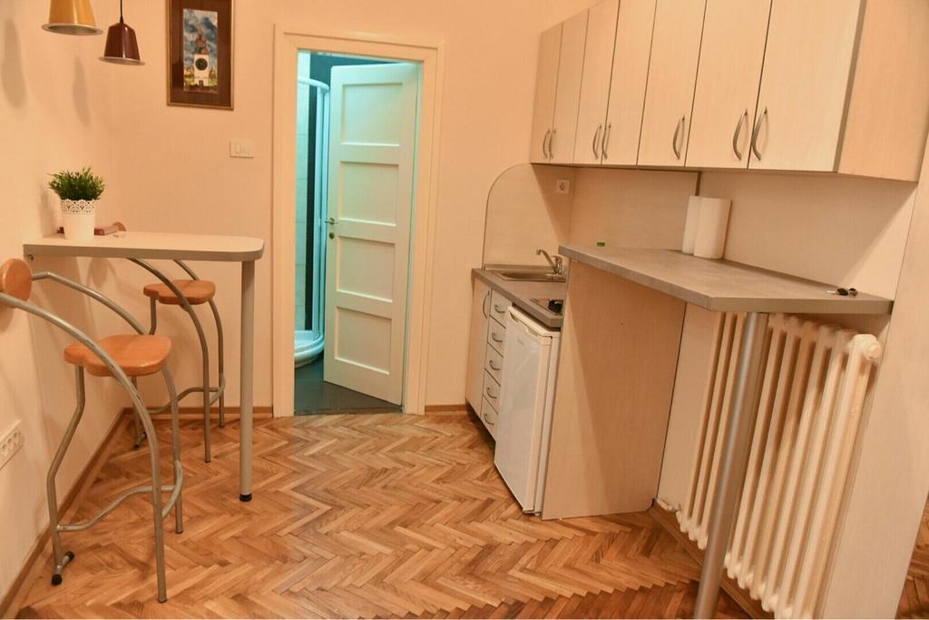 Bojan Central Apartment Нови Сад Екстериор снимка